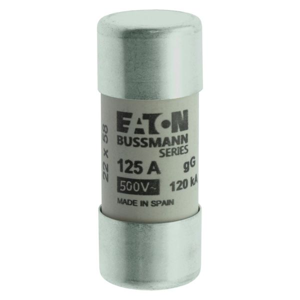 Fuse-link, LV, 125 A, AC 400 V, 22 x 58 mm, gL/gG, IEC image 5