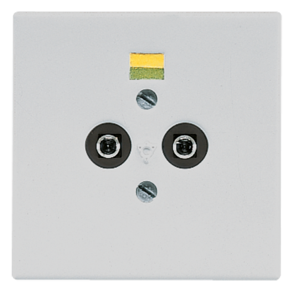 Potential equalisation socket LS965-2LG image 1