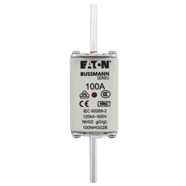 Fuse-link, LV, 100 A, AC 500 V, NH02, gL/gG, IEC, dual indicator, live gripping lugs image 8