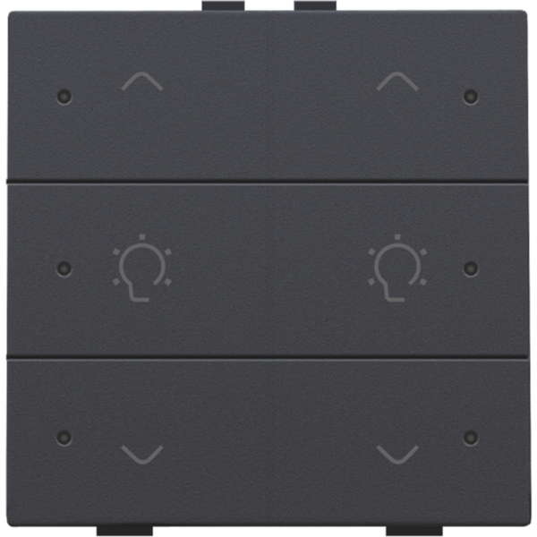 Double dimming control with LED for Niko Home Control, anthracite coat image 3