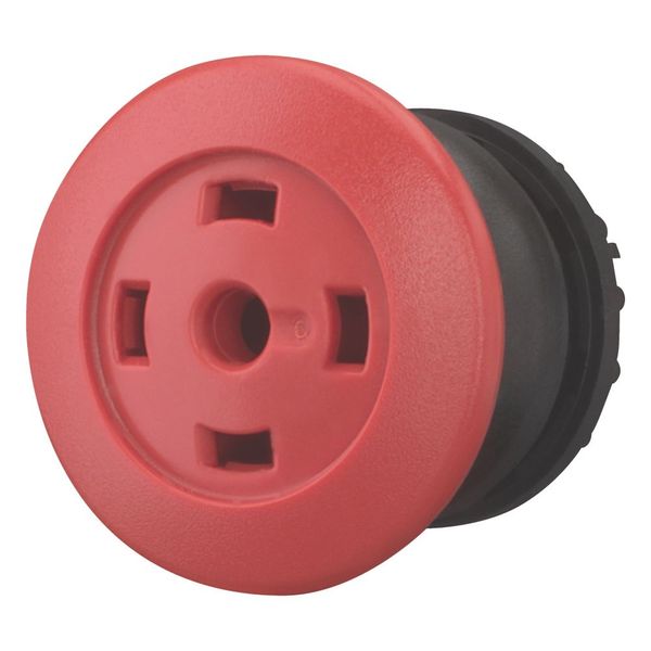 Mushroom actuator, RMQ-Titan, Mushroom, maintained, Mushroom red, Without button plate, Bezel: black image 11