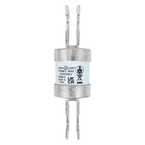 Utility fuse-link, low voltage, 160 A, AC 415 V, BS88/J, 31 x 110 mm, gL/gG, BS image 20