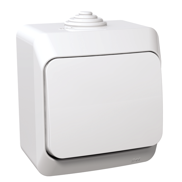 Cedar Plus - intermediate switch - 16AX, white image 3