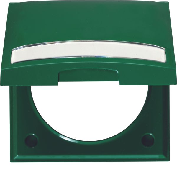 Frame with hinged cover and labelling field, Integro Flow, green gloss image 1
