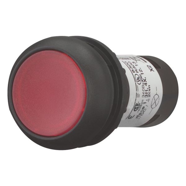 Illuminated pushbutton actuator, Flat, momentary, 1 NC, Screw connection, LED Red, red, Blank, 120 V AC, Bezel: black image 8