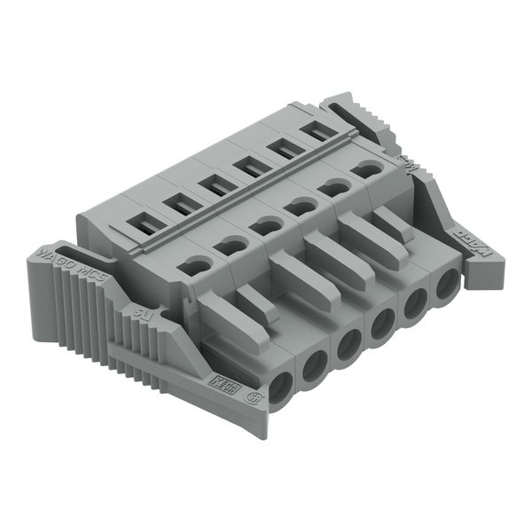 1-conductor female connector CAGE CLAMP® 2.5 mm² gray image 1