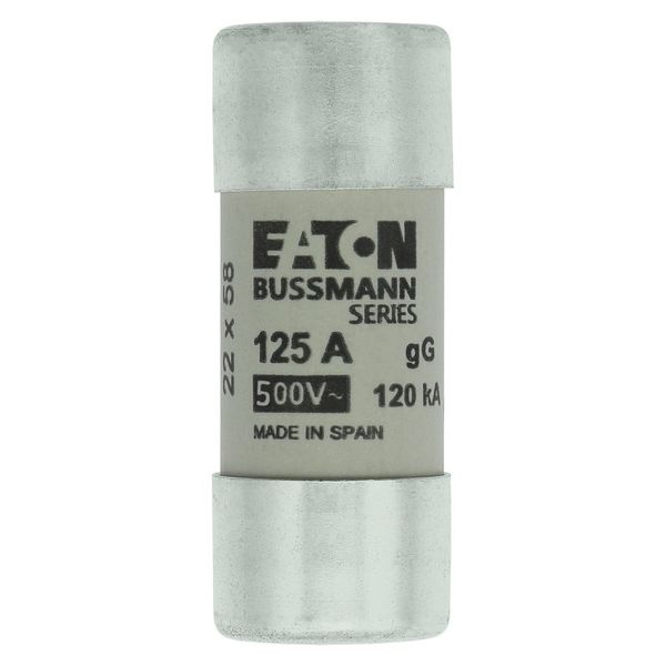 Fuse-link, LV, 125 A, AC 400 V, 22 x 58 mm, gL/gG, IEC image 4