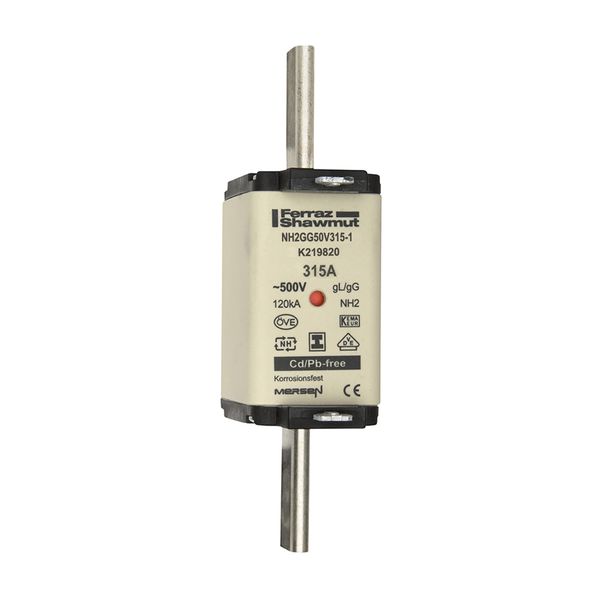 Fuse-link NH2 gG 500VAC 315A isolated tags Double indicator image 1