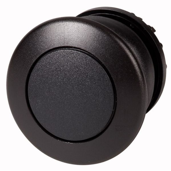 Mushroom actuator, RMQ-Titan, Mushroom, momentary, Mushroom black, black, Blank, Bezel: black image 1