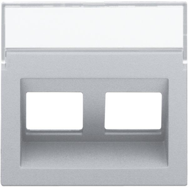 Central plate data 2x RJ oblique output, sterling coated image 1