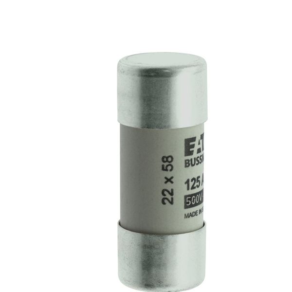 Fuse-link, LV, 125 A, AC 400 V, 22 x 58 mm, gL/gG, IEC image 20