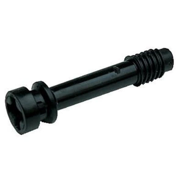 APHS SET OF 2 SLOTTED SCREWS ; APHS image 2