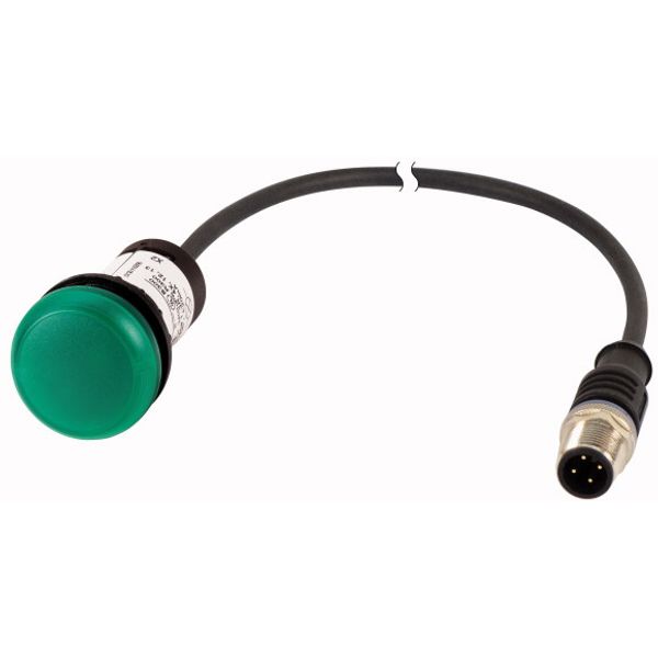 Indicator light, Flat, Cable (black) with M12A plug, 4 pole, 1 m, Lens green, LED green, 24 V AC/DC image 1