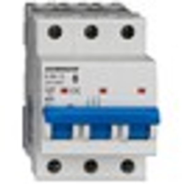 Miniature Circuit Breaker (MCB) AMPARO 10kA, D 50A, 3-pole image 2