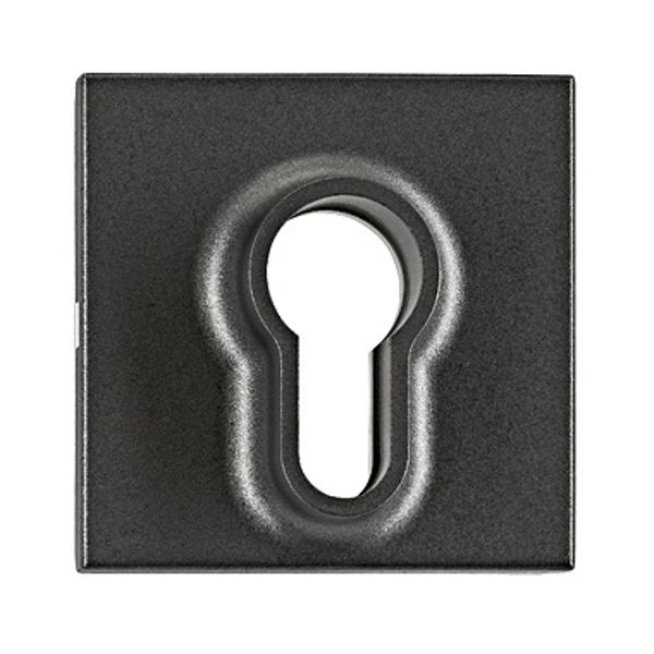 Cover for key switch, anthracite image 1