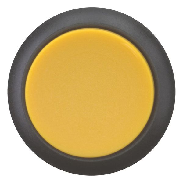 Pushbutton, RMQ-Titan, Extended, momentary, yellow, Blank, Bezel: black image 4