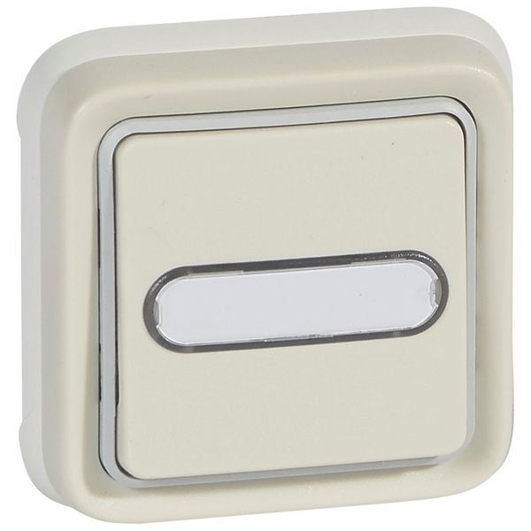 Push-button Plexo IP 55 - illum changeover + label holder -flush mounting -white image 1