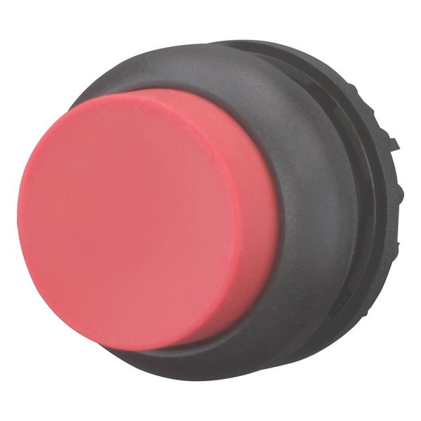 Pushbutton, RMQ-Titan, Extended, maintained, red, Blank, Bezel: black image 9