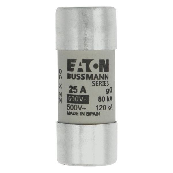 Fuse-link, LV, 25 A, AC 690 V, 22 x 58 mm, gL/gG, IEC image 5