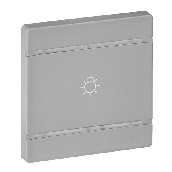 Cover plate Valena Life - light symbol - 2 modules - aluminium image 1