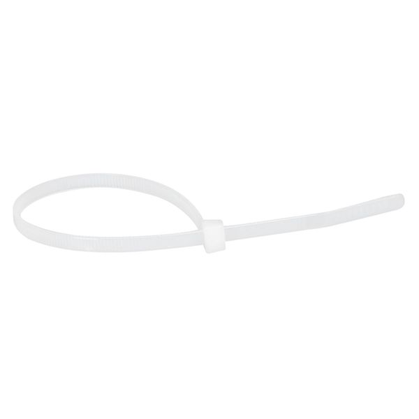Cable tie Colring - w 3.5 mm - L 140 mm - blister 100 pcs - colourless image 2