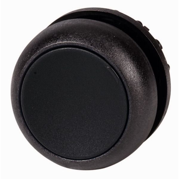 Pushbutton, RMQ-Titan, Flat, maintained, black, Blank, Bezel: black image 1