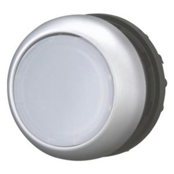 Illuminated pushbutton actuator, RMQ-Titan, Flush, maintained, White, Blank, Bezel: titanium image 8