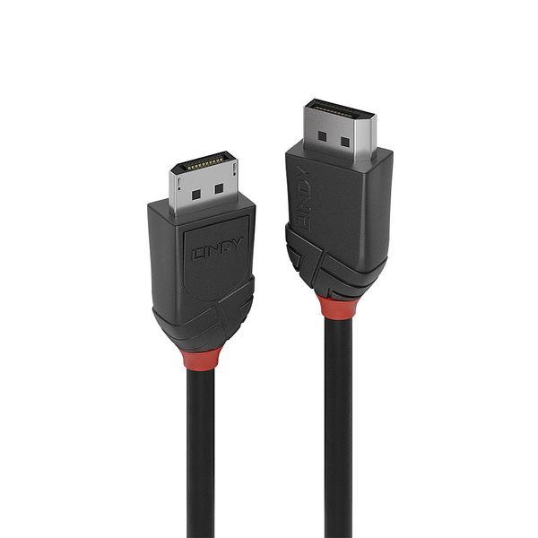 1.5m DisplayPort 1.2 Cable, Black Line DP Male to Male image 1