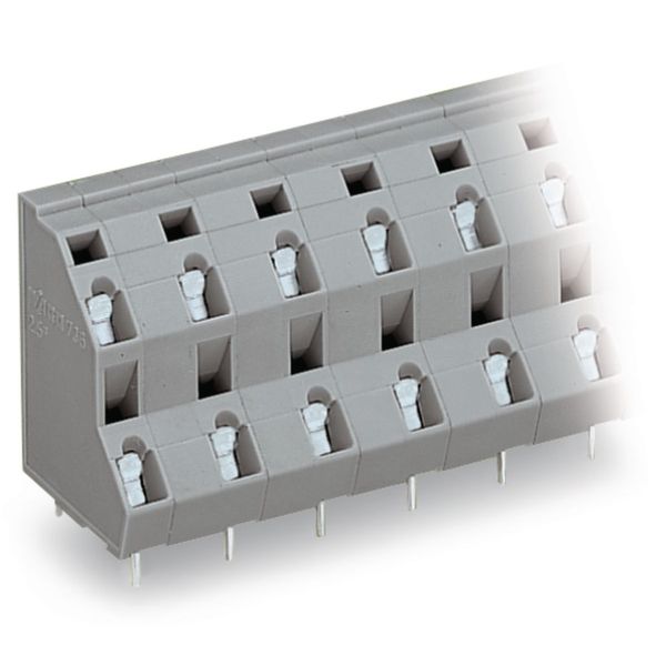 Double-deck PCB terminal block 2.5 mm² Pin spacing 10 mm gray image 4