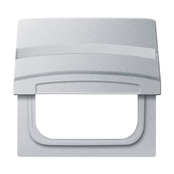 2118 GKSL-31 CoverPlates (partly incl. Insert) Flush-mounted, water-protected, special connecting devices Brown image 3