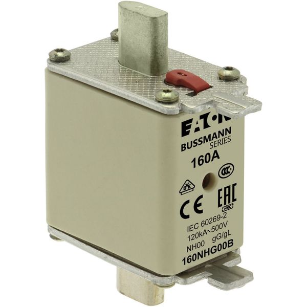 Fuse-link, LV, 160 A, AC 500 V, NH00, gL/gG, IEC, dual indicator, live gripping lugs image 11