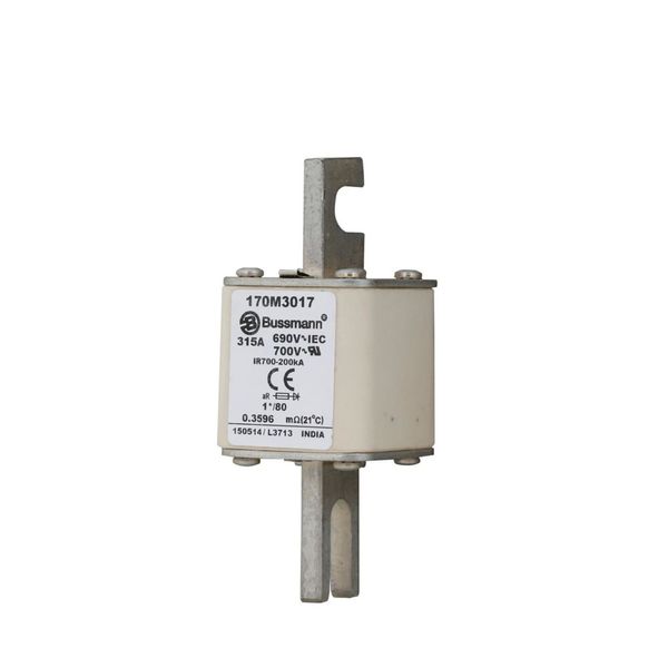 Fuse-link, high speed, 315 A, AC 690 V, compact DIN 1, 45 x 45 x 104 mm, aR, DIN, IEC, single indicator image 13