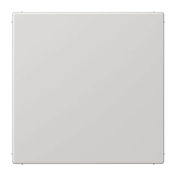 Blank centre plate LS994BLGPL image 1