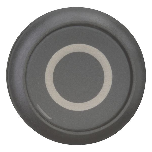 Pushbutton, RMQ-Titan, Flat, maintained, black, inscribed, Bezel: black image 10
