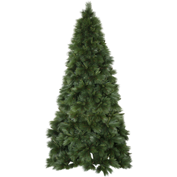 Christmas Tree Cembra image 1