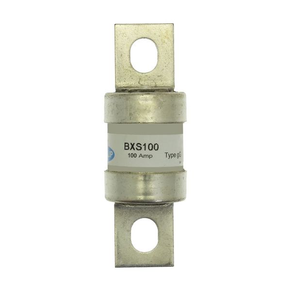 BXS100 100AMP FUSE LINK FOR SASIL FUSE SWITCH image 6