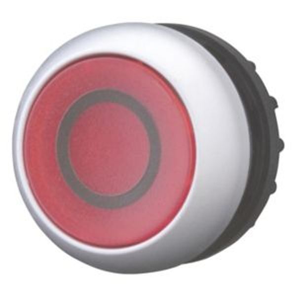 Illuminated pushbutton actuator, RMQ-Titan, Flush, momentary, red, inscribed, Bezel: titanium image 2