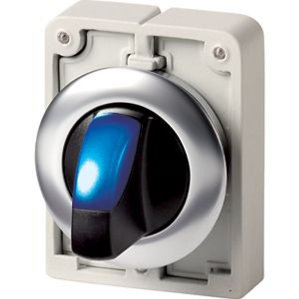 Illuminated selector switch actuator, RMQ-Titan, with thumb-grip, maintained, 2 positions (V position), Blue, Front ring stainless steel image 4