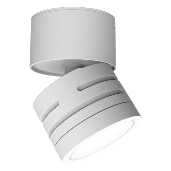 Reef CCT Adjustable Surface Downlight White image 3