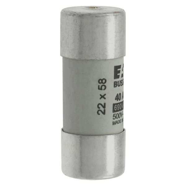 Fuse-link, LV, 40 A, AC 690 V, 22 x 58 mm, gL/gG, IEC, with striker image 9