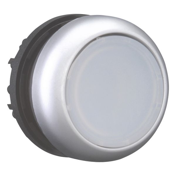 Illuminated pushbutton actuator, RMQ-Titan, Flush, maintained, White, Blank, Bezel: titanium image 14