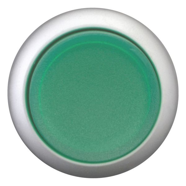 Illuminated pushbutton actuator, RMQ-Titan, Extended, momentary, green, Blank, Bezel: titanium image 4