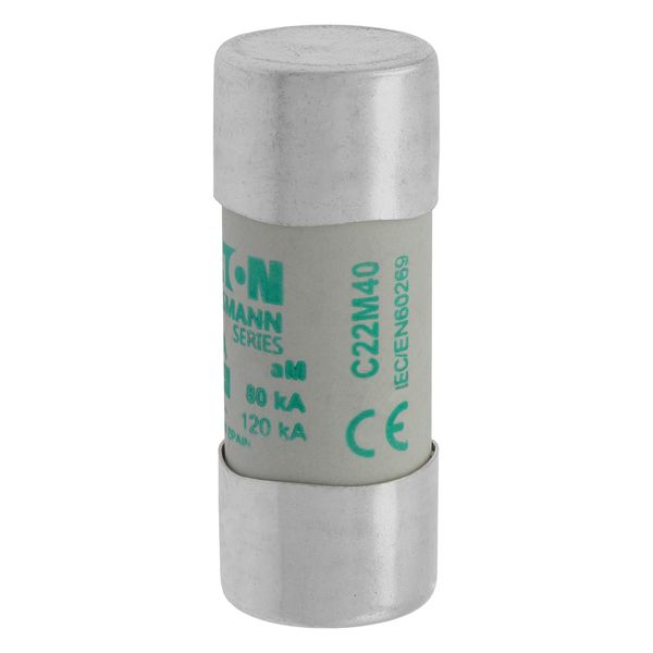 Fuse-link, LV, 40 A, AC 690 V, 22 x 58 mm, aM, IEC image 19