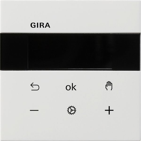 S3000 RTC Display Gira F100 p.white image 1
