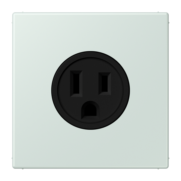 Socket US NEMA system LC32034 LC521-15215 image 1