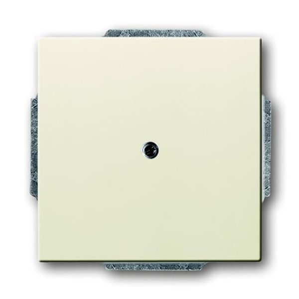 1742-82 CoverPlates (partly incl. Insert) future®, solo®; carat®; Busch-dynasty® ivory white image 2