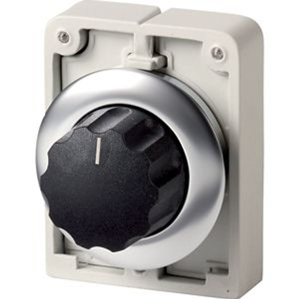 Changeover switch, RMQ-Titan, with rotary head, maintained, 4 positions, inscribed, Front ring stainless steel image 2