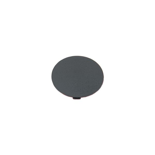 Button plate, mushroom black, blank image 4