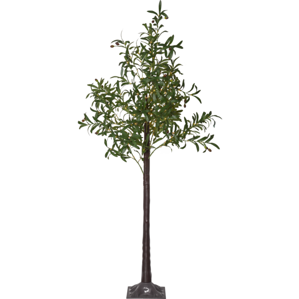 Decorative Tree Olivec image 2