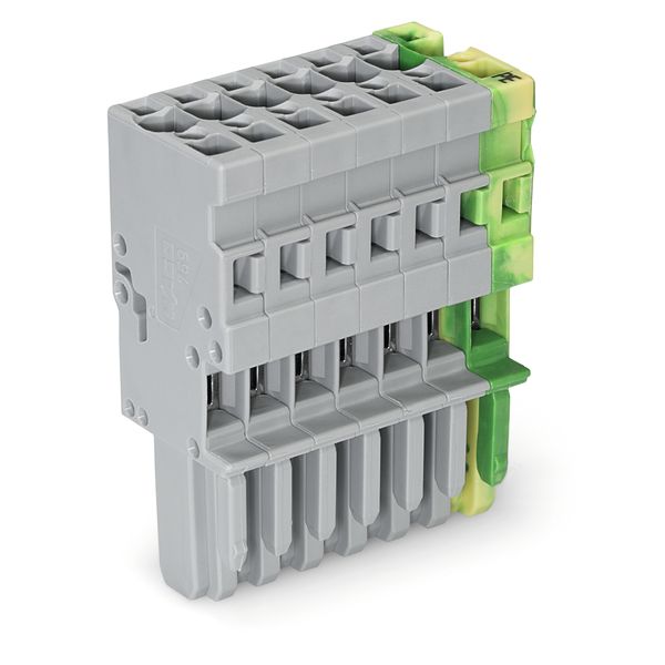 1-conductor female connector CAGE CLAMP® 4 mm² green-yellow/gray image 1